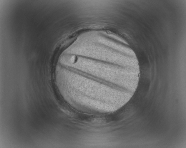 X0000067340303200604211942