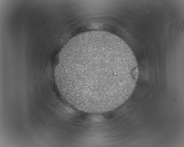 X0000067340322200604211942