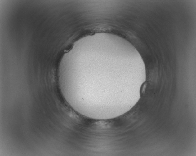 X0000067340326200604211942