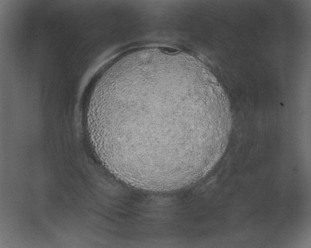 X0000067340343200604211941