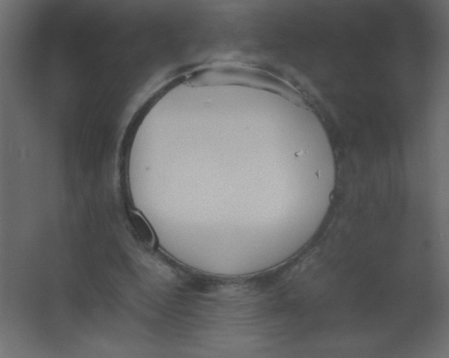 X0000067340344200604211941
