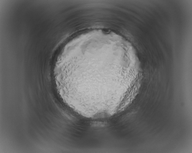 X0000067340347200604211941