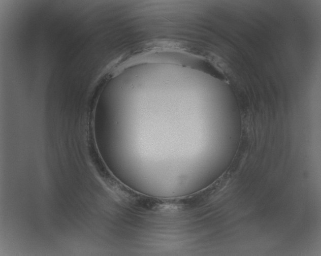 X0000067340352200604211941