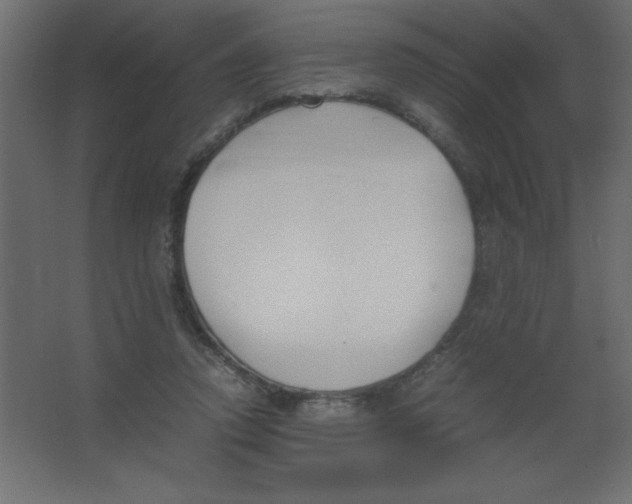 X0000067340354200604211941