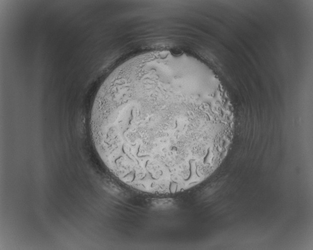 X0000067340355200604211941