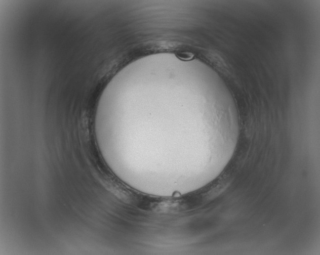 X0000067340366200604211942