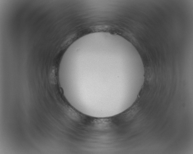 X0000067340378200604211942