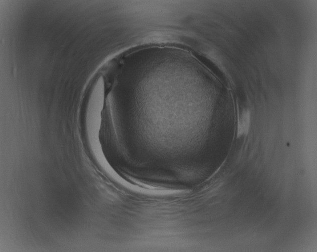 X0000067340387200604211941