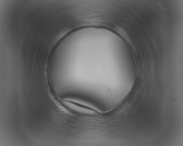 X0000067340389200604211941