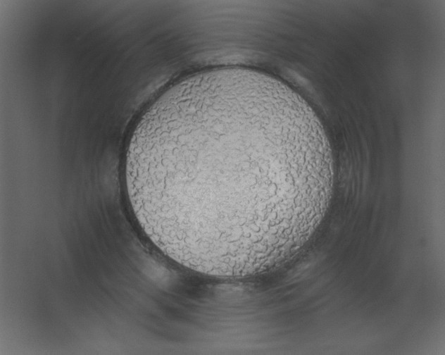 X0000067340394200604211941