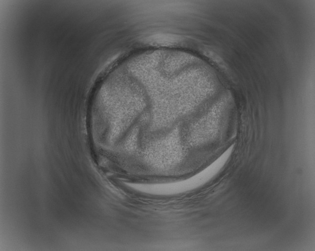X0000067340399200604211941
