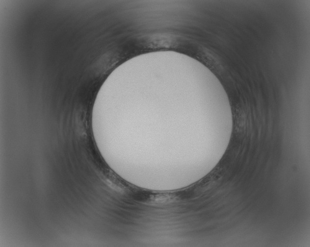 X0000067340414200604211941