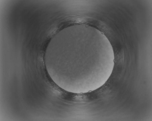 X0000067340415200604211941