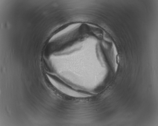 X0000067340434200604211939