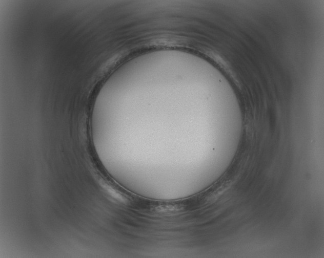 X0000067340445200604211940