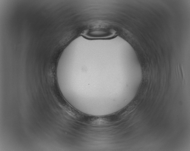 X0000067340460200604211940
