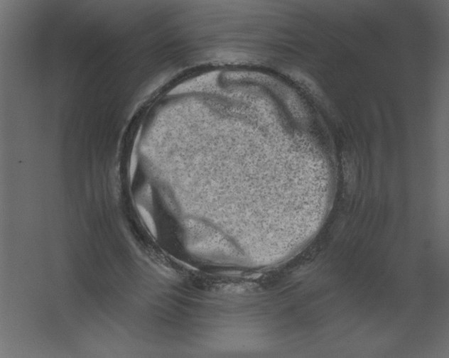 X0000067340488200604211939