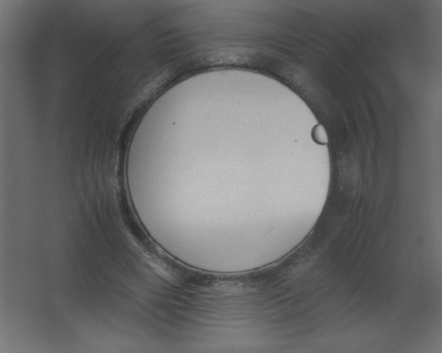 X0000067340490200604211939