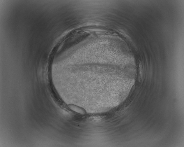 X0000067340492200604211939