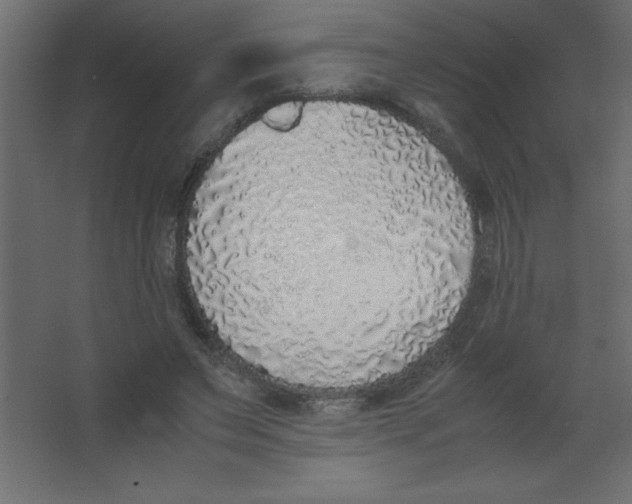 X0000067340495200604211939