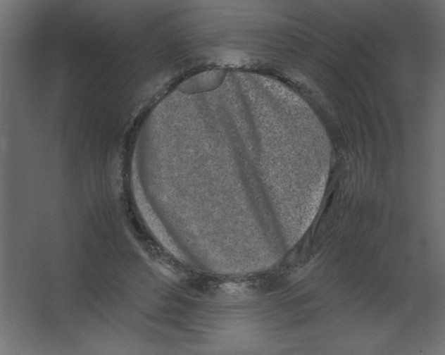 X0000067340496200604211939