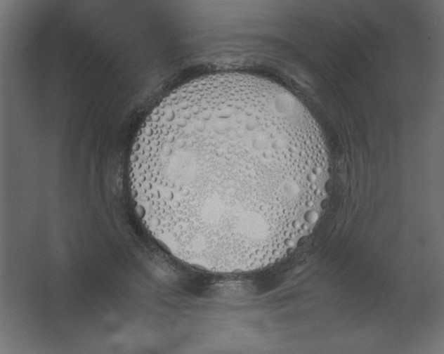 X0000067340499200604211939