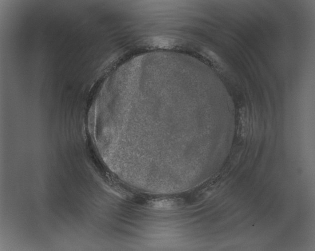 X0000067340500200604211939