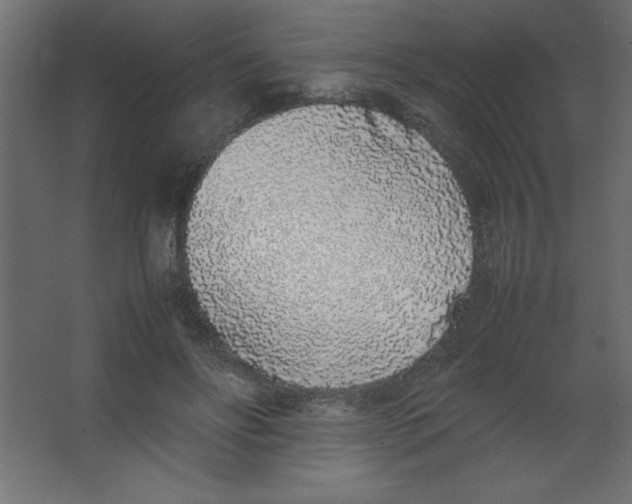 X0000067340502200604211939