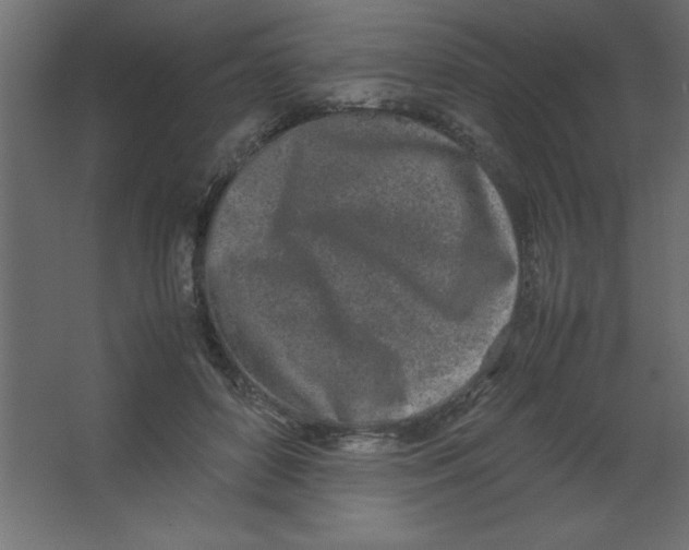 X0000067340504200604211939
