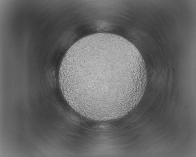 X0000067340506200604211939