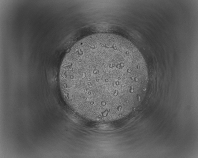 X0000067340507200604211939