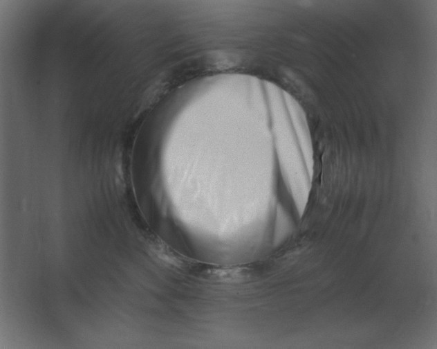 X0000067340524200604211939