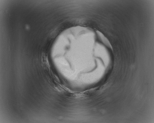 X0000067340528200604211939