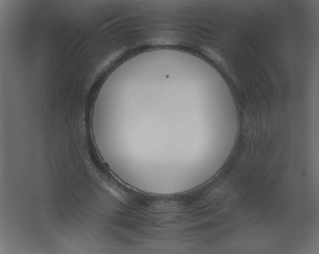 X0000067340535200604211938