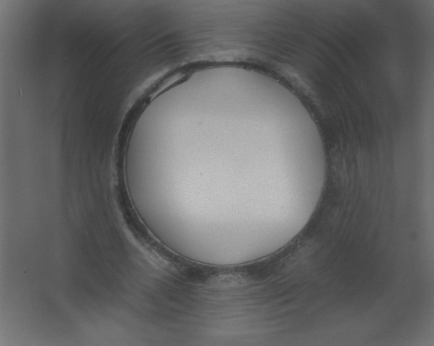 X0000067340536200604211938