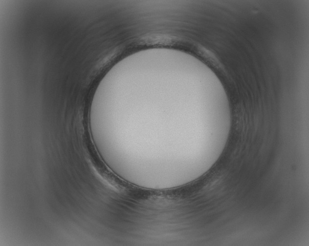 X0000067340538200604211938