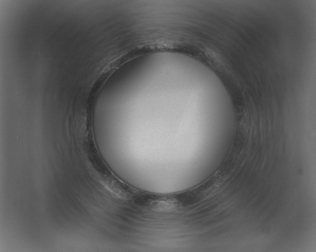 X0000067340548200604211938