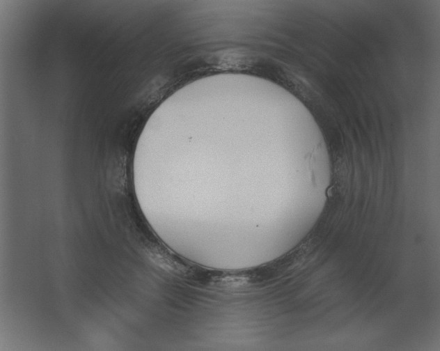 X0000067340554200604211938