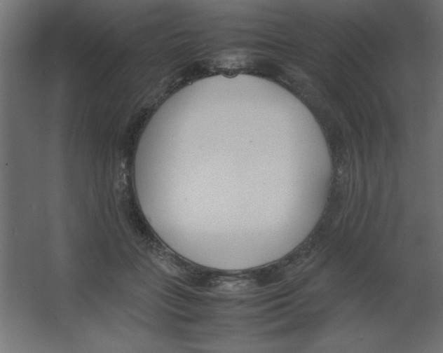X0000067340555200604211938
