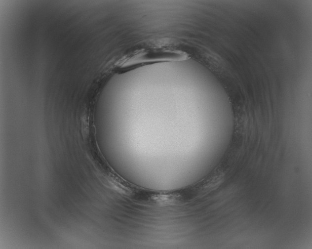 X0000067340558200604211938