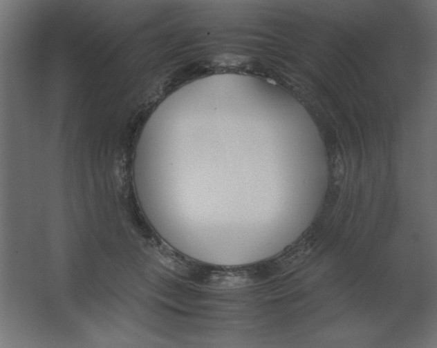 X0000067340559200604211938