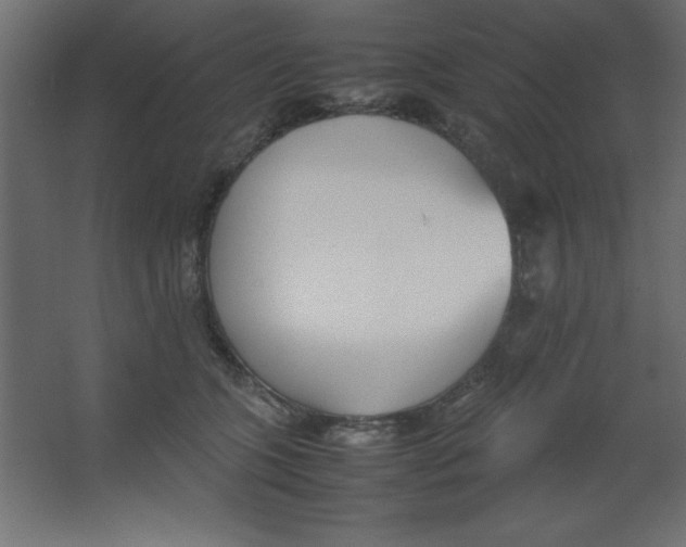 X0000067340563200604211938