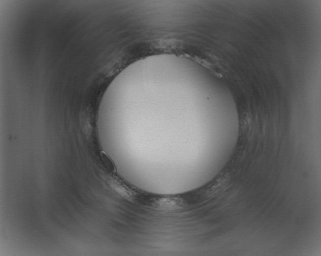 X0000067340566200604211938