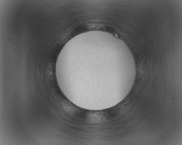 X0000067340567200604211938