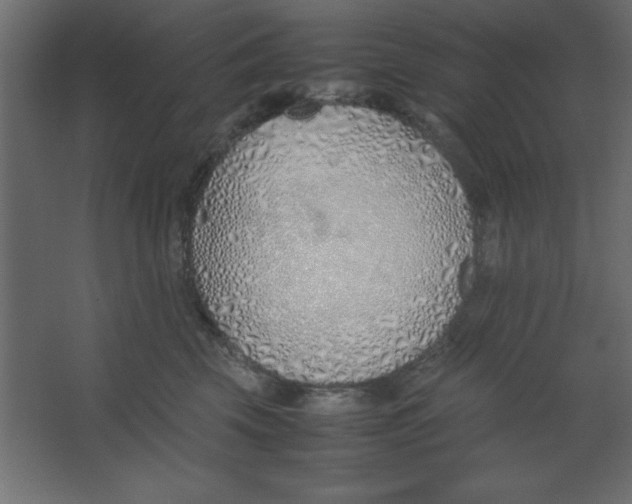 X0000067340569200604211939