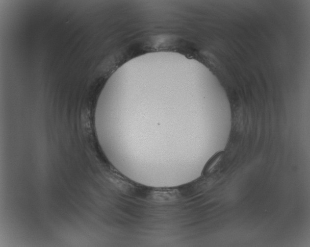 X0000067340571200604211939
