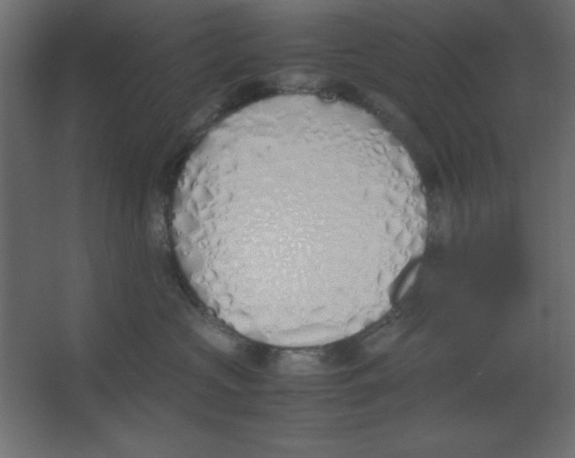 X0000067340573200604211939