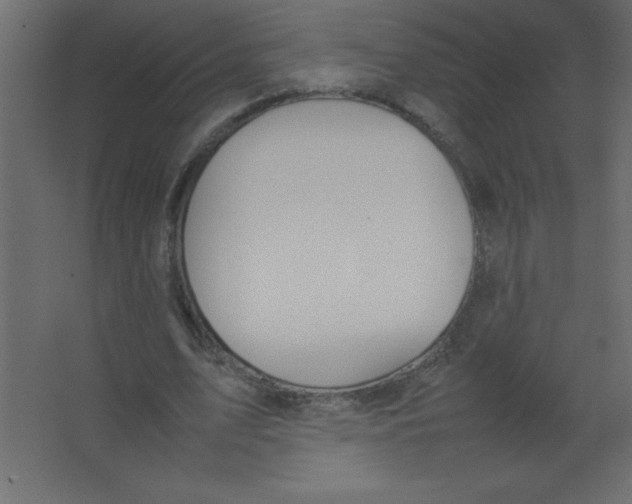 X0000067340583200604211938
