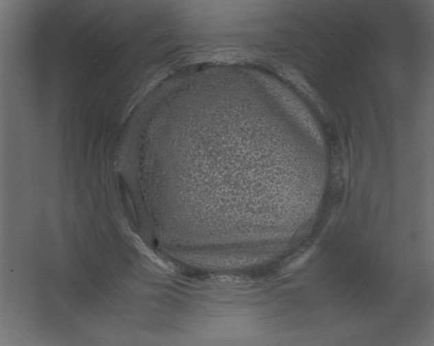 X0000067340585200604211938