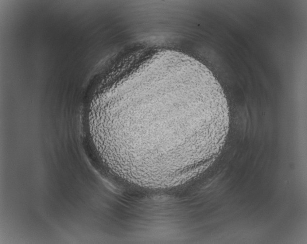 X0000067340590200604211938